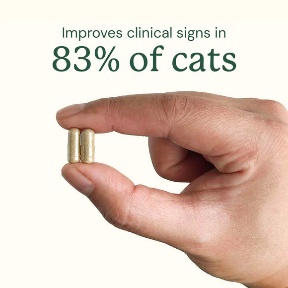 Kitty Biome Gut Restore Supplement FMT Capsules for Cats