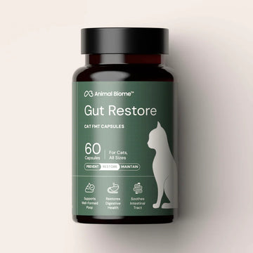 Kitty Biome Gut Restore Supplement FMT Capsules for Cats