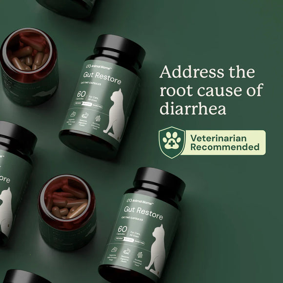 Kitty Biome Gut Restore Supplement FMT Capsules for Cats