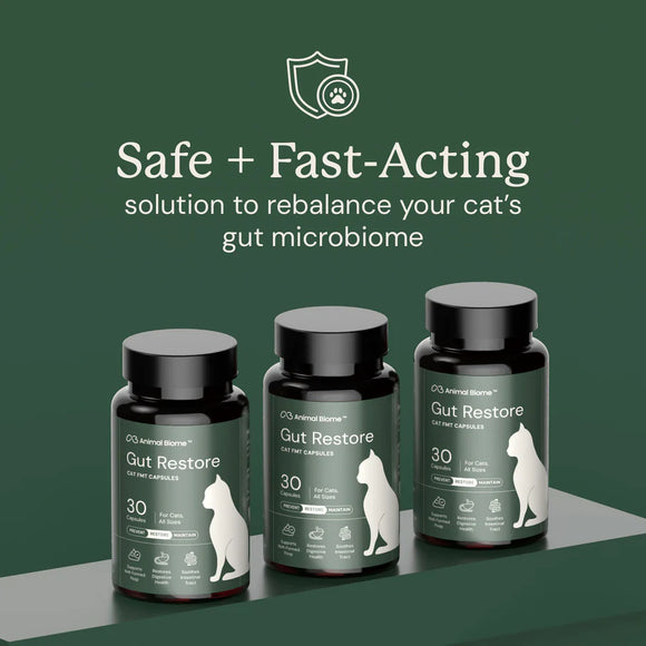 Kitty Biome Gut Restore Supplement FMT Capsules for Cats