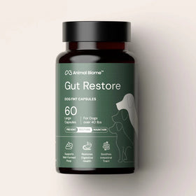 Doggy Biome Gut Restore Supplement FMT Capsules for Dogs