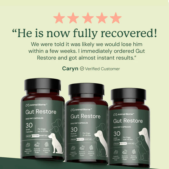 Doggy Biome Gut Restore Supplement FMT Capsules for Dogs
