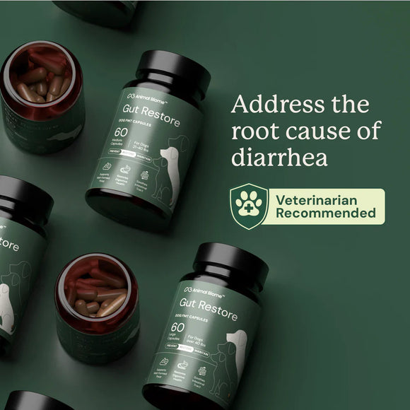 Doggy Biome Gut Restore Supplement FMT Capsules for Dogs