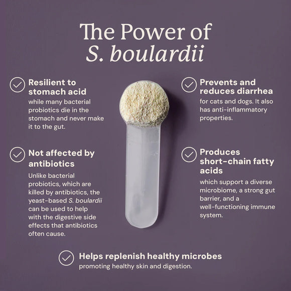 Animal Biome S.boulardii + FOS Probiotic + Prebiotic Powder for Dogs & Cats
