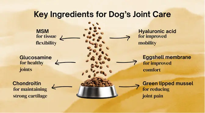 Top Joint Health for Dogs Comparison: Nutramax vs VetriScience