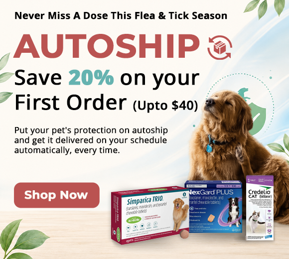 Autoship banner v 5