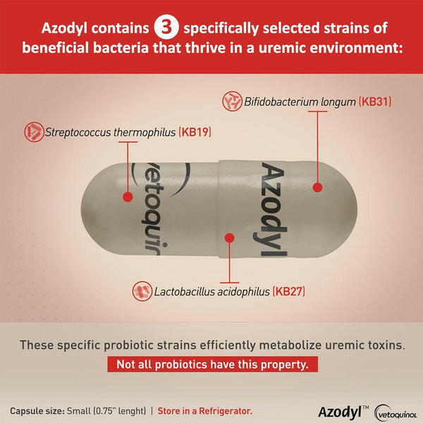 Azodyl Small Capsules - Renal Support Supplement for Cats and Dogs Dog Supplements & Vitamins.