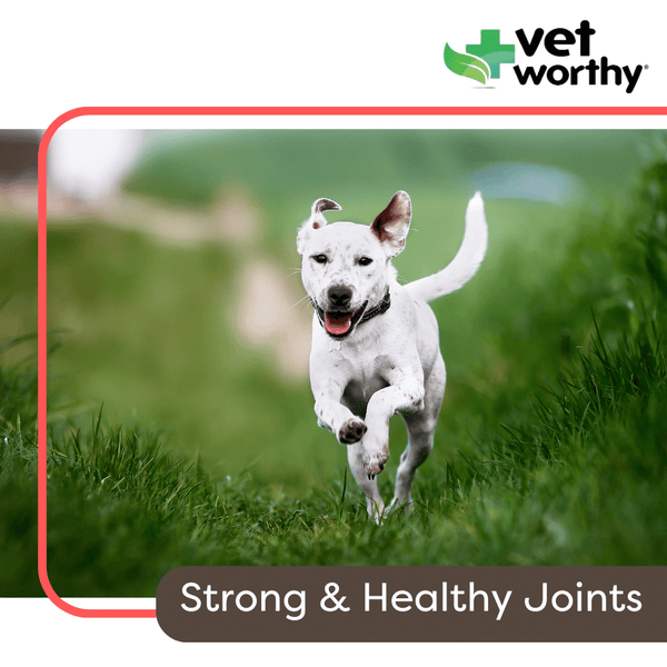 Vet Worthy Joint Support Level 1 (180 chewable tablets)