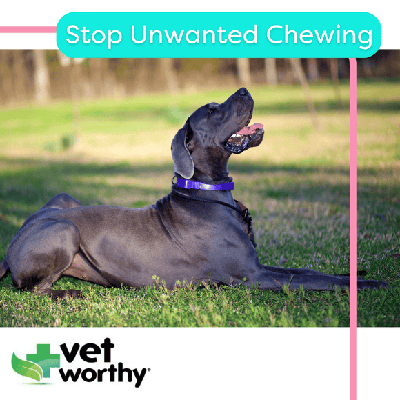 Vet Worthy Bitter Spray