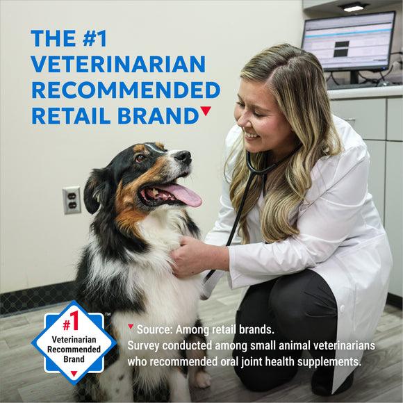 Veterinarian examining a dog with text about a veterinarian recommended retail brand.