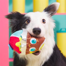 BARK Cadfurry Eggs Plush Dog Toy-3