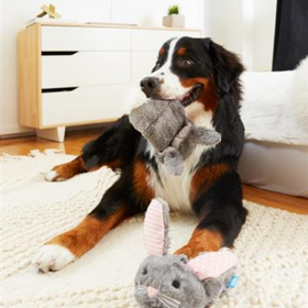 BARK Itty & Bitty the Bunny Slippers Dog Toys - 0