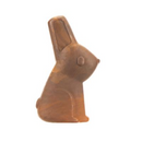 Bark Yummy Bunny Chew Toy, Medlum/Large-1