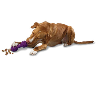 PetSafe Busy Buddy Chuckle Treat Dispenser Dog Toy