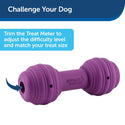 PetSafe Busy Buddy Chuckle Treat Dispenser Dog Toy