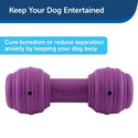 PetSafe Busy Buddy Chuckle Treat Dispenser Dog Toy