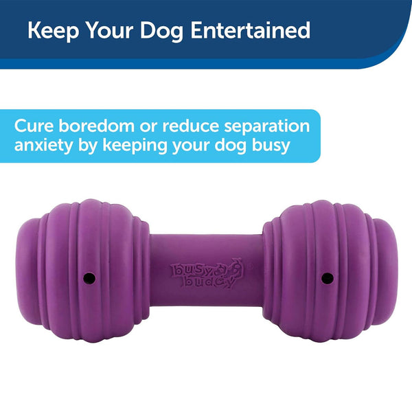 PetSafe Busy Buddy Chuckle Treat Dispenser Dog Toy