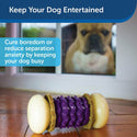 Petsafe Busy Buddy Nobbly Nubbly Treat Dispensing Dog Chew Toy