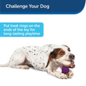 Petsafe Busy Buddy Nobbly Nubbly Treat Dispensing Dog Chew Toy