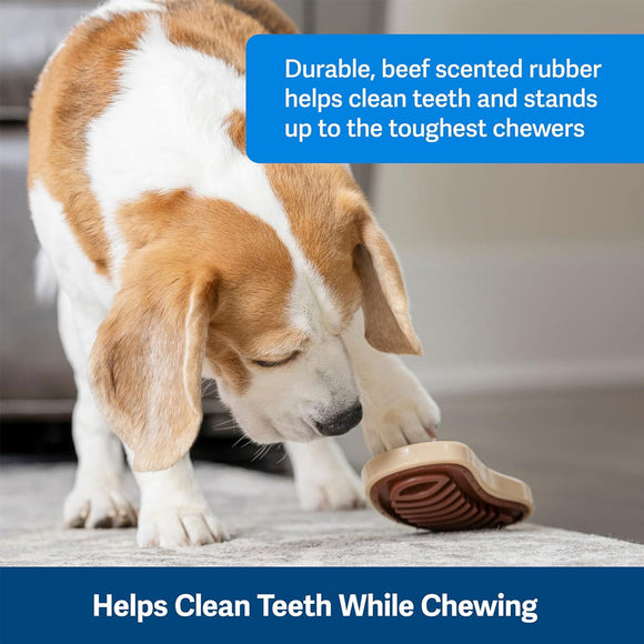 Petsafe Busy Buddy Slab o' Sirloin Treat Holding Dog Toy