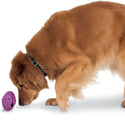 Petsafe Busy Buddy Twist 'n Treat Treat Dispenser Dog Toy