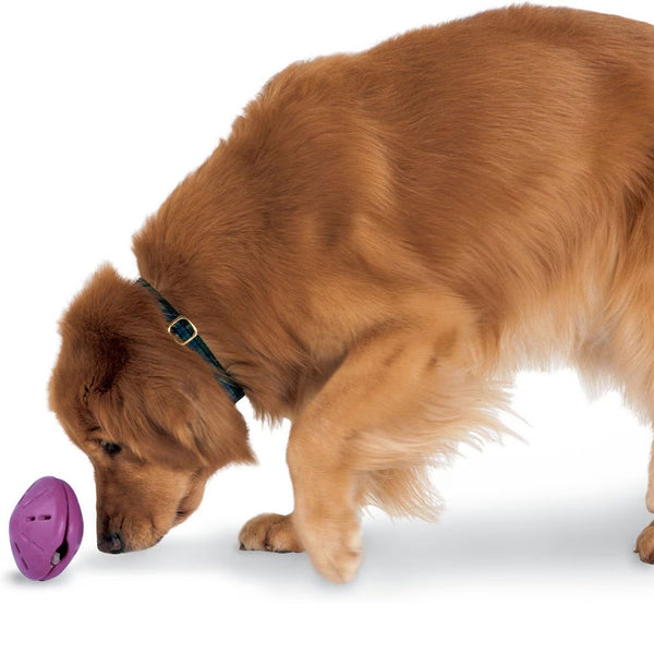 Petsafe Busy Buddy Twist 'n Treat Treat Dispenser Dog Toy