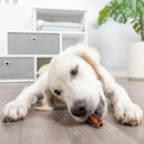 Barking Buddha Beef Jerky Chips Dog Chew