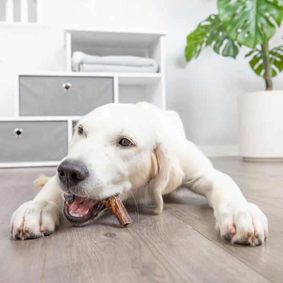 Barking Buddha Beef Jerky Chips Dog Chew