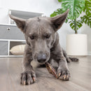 Barking Buddha Beef Jerky Chips Dog Chew