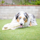 Barking Buddha Beef Cheek Original Rolls Dog Chew