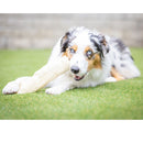 Barking Buddha Beef Cheek Original Rolls Dog Chew