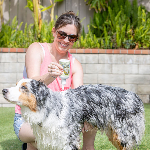 Natural Cravings Buddha Bubbles Grab-and-Go Set Organic Shampoo & Conditioner for Dogs & Cats