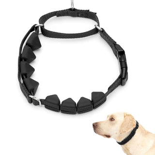 PetSafe Soft Point Dog Training Collar, Black