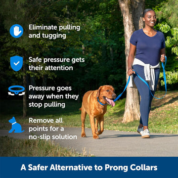 PetSafe Soft Point Dog Training Collar, Blue