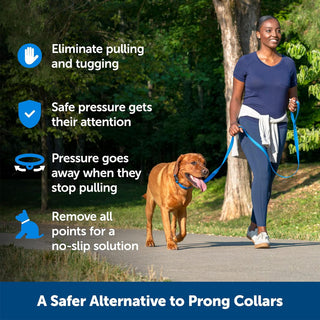 PetSafe Soft Point Dog Training Collar, Blue