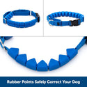 PetSafe Soft Point Dog Training Collar, Blue