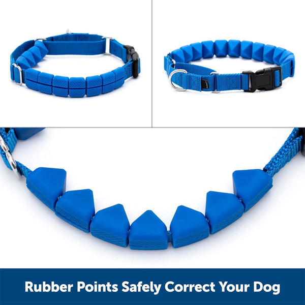 PetSafe Soft Point Dog Training Collar, Blue