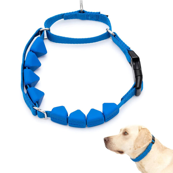 PetSafe Soft Point Dog Training Collar, Blue