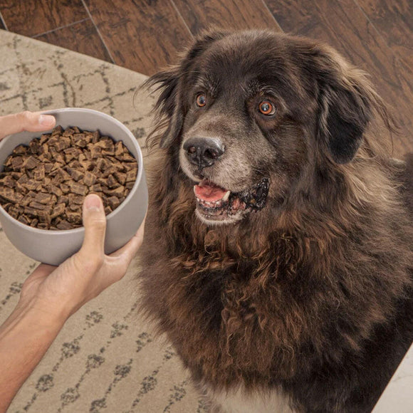 Badlands Ranch Superfood Complete Premium Air Dried Lamb & Venison Dog Food