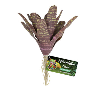 Zoo Med Naturalistic Flora Chestnut Bromeliad Terrarium Plant