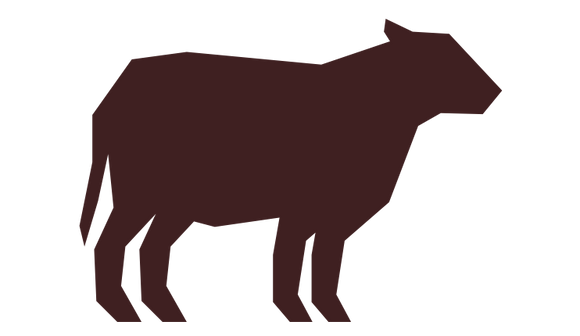 Ultimate Pet Nutrition Nutra Complete Premium Beef Freeze-Dried Raw Dog Food