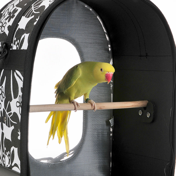 Bired Sitting in A&E Cages Soft Sided Voyager Bird Carrier Travel Cage