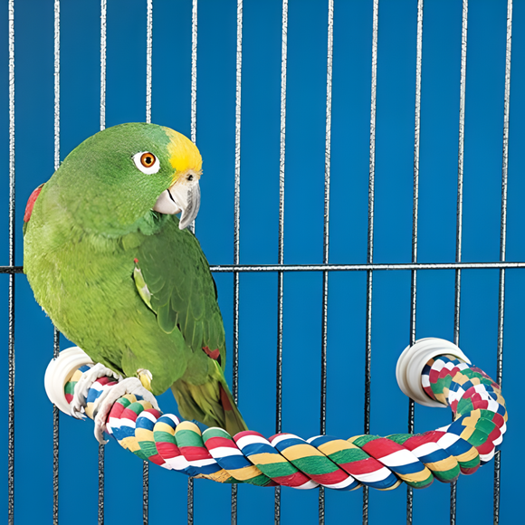Parrot sitting on JW Pet Multi-Color Flexible Comfy Rope Bird Cage Perch