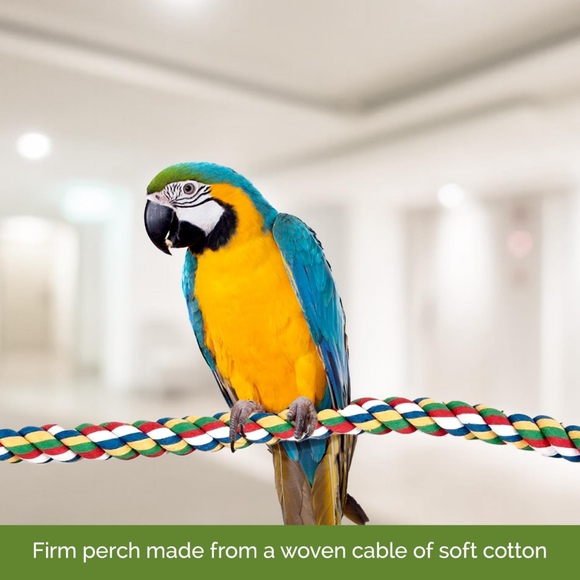 Parrot sittting JW Pet Multi-Color Flexible Comfy Rope Bird Cage Perch