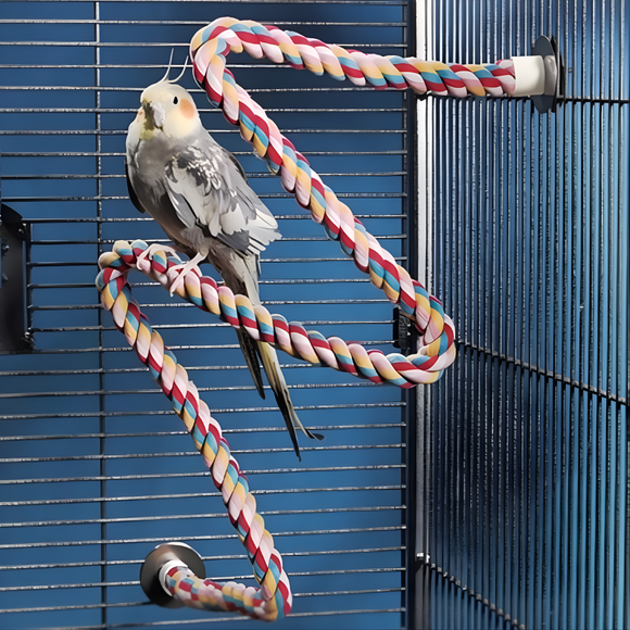 Bird sitting on JW Pet Multi-Color Flexible Comfy Rope Bird Cage Perch - Large