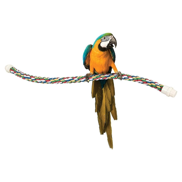 Parrot sitting on JW Pet Multi-Color Flexible Comfy Rope Bird Cage Perch