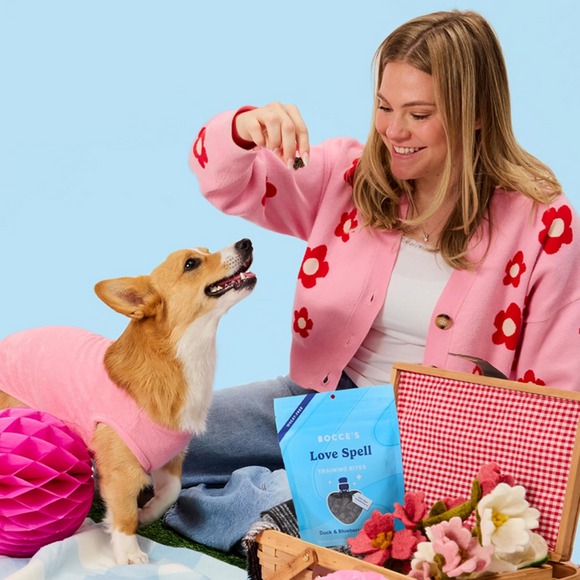 Bocce's Bakery Love Spell Duck & Blueberry Training Bites (6 oz)