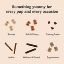 Bocce's Bakery Love Struck Salmon & Sweet Potato Soft & Chewy Dog Treats (6 oz)-5