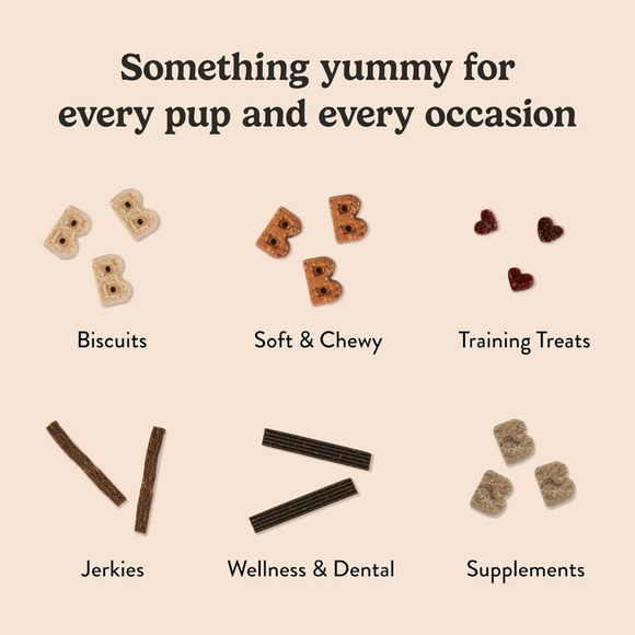 Bocce's Bakery Love Potion No. K-9 with Peanut Butter, Banana, & Carob - Soft & Chewy Dog Treats (6 oz)