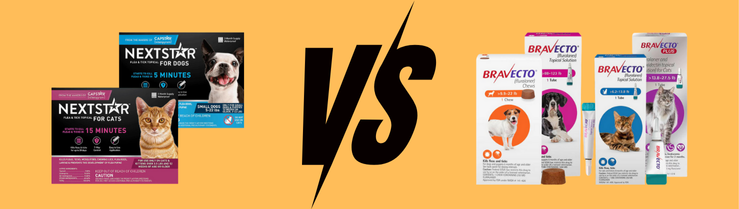 Bravecto Vs NextStar Quick Comparison